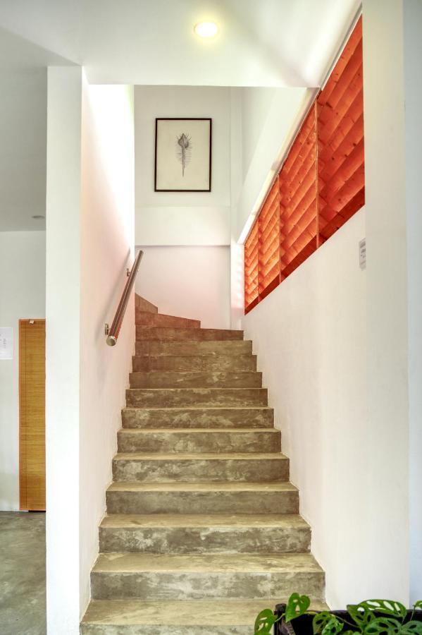 Island Ambience Hotel Maafushi Exterior photo